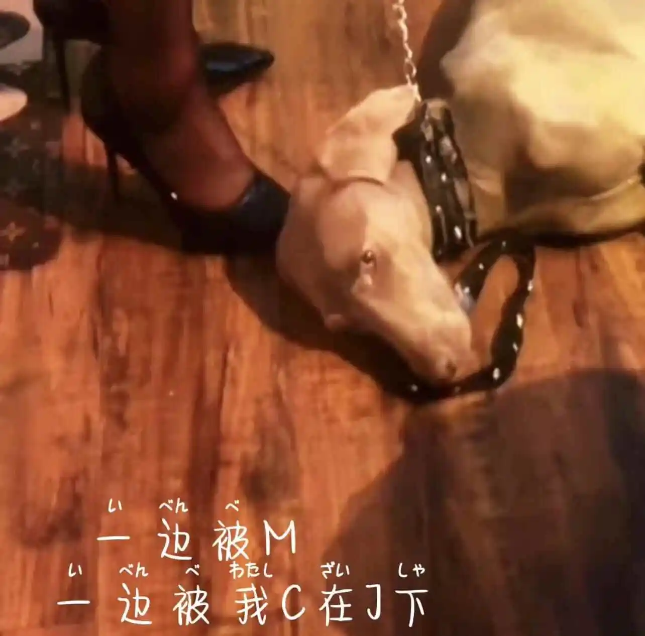 【西檬之家】字母圈的M：受虐者解析指南