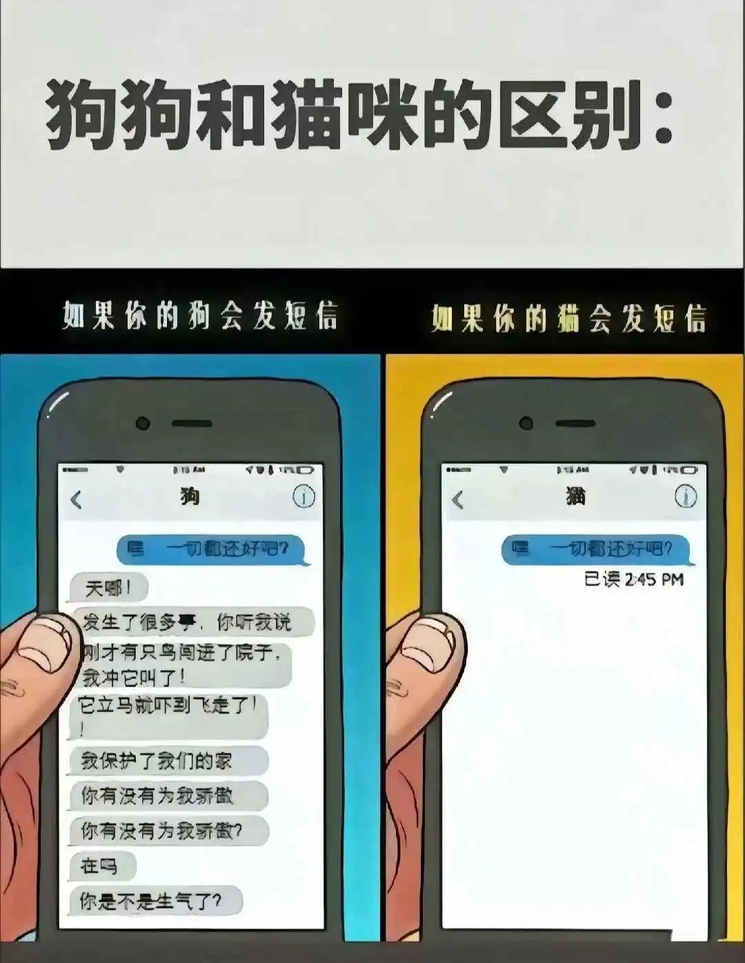 【西檬之家】字母圈新人入圈指南