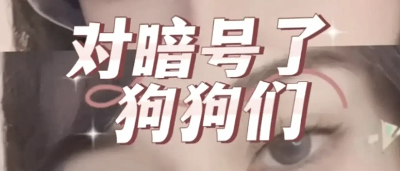 【西檬之家】BDSM新人必读：PE权力交换与SSC安全指南