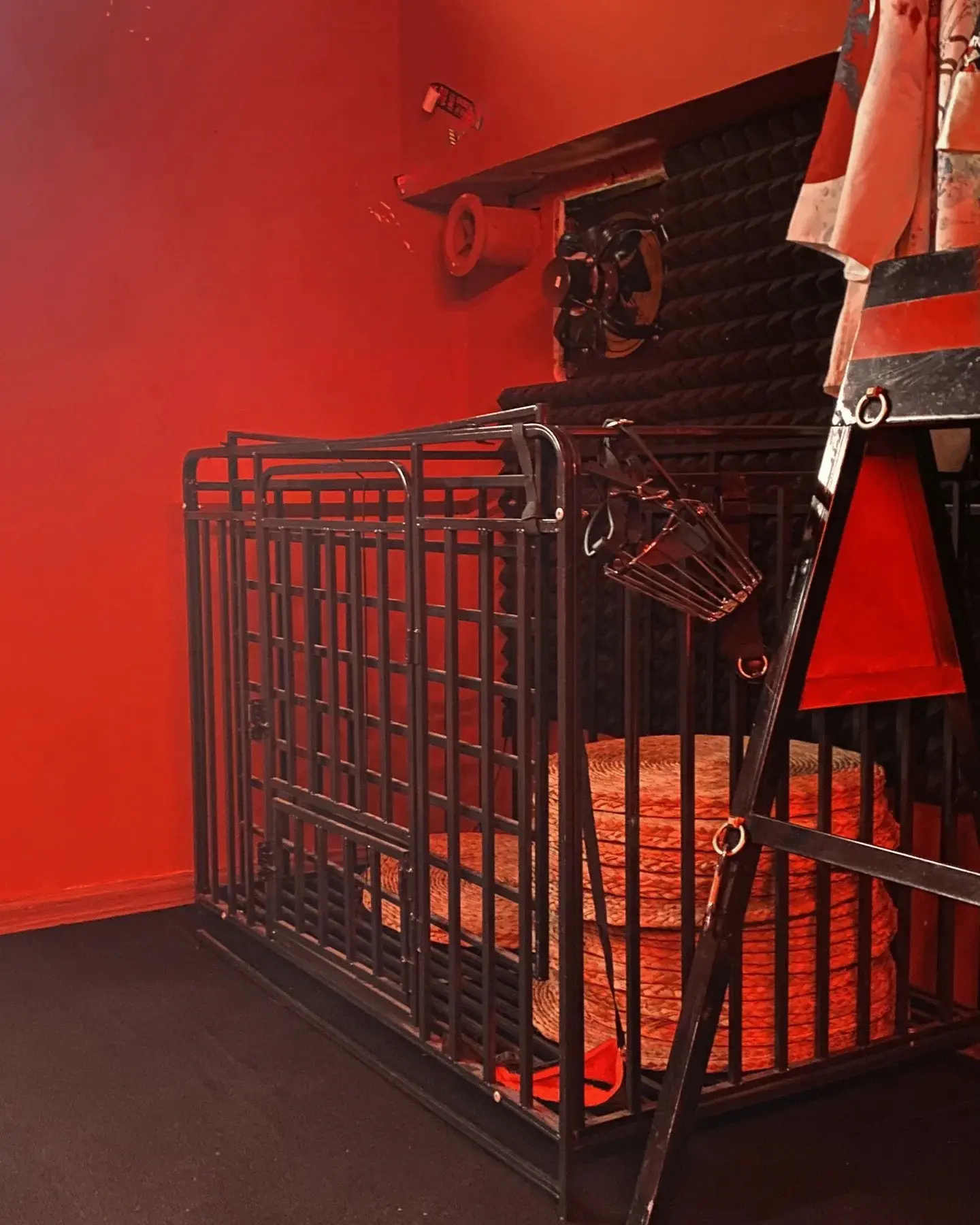 【西檬之家】女王是什么意思？BDSM新人入圈权威解读