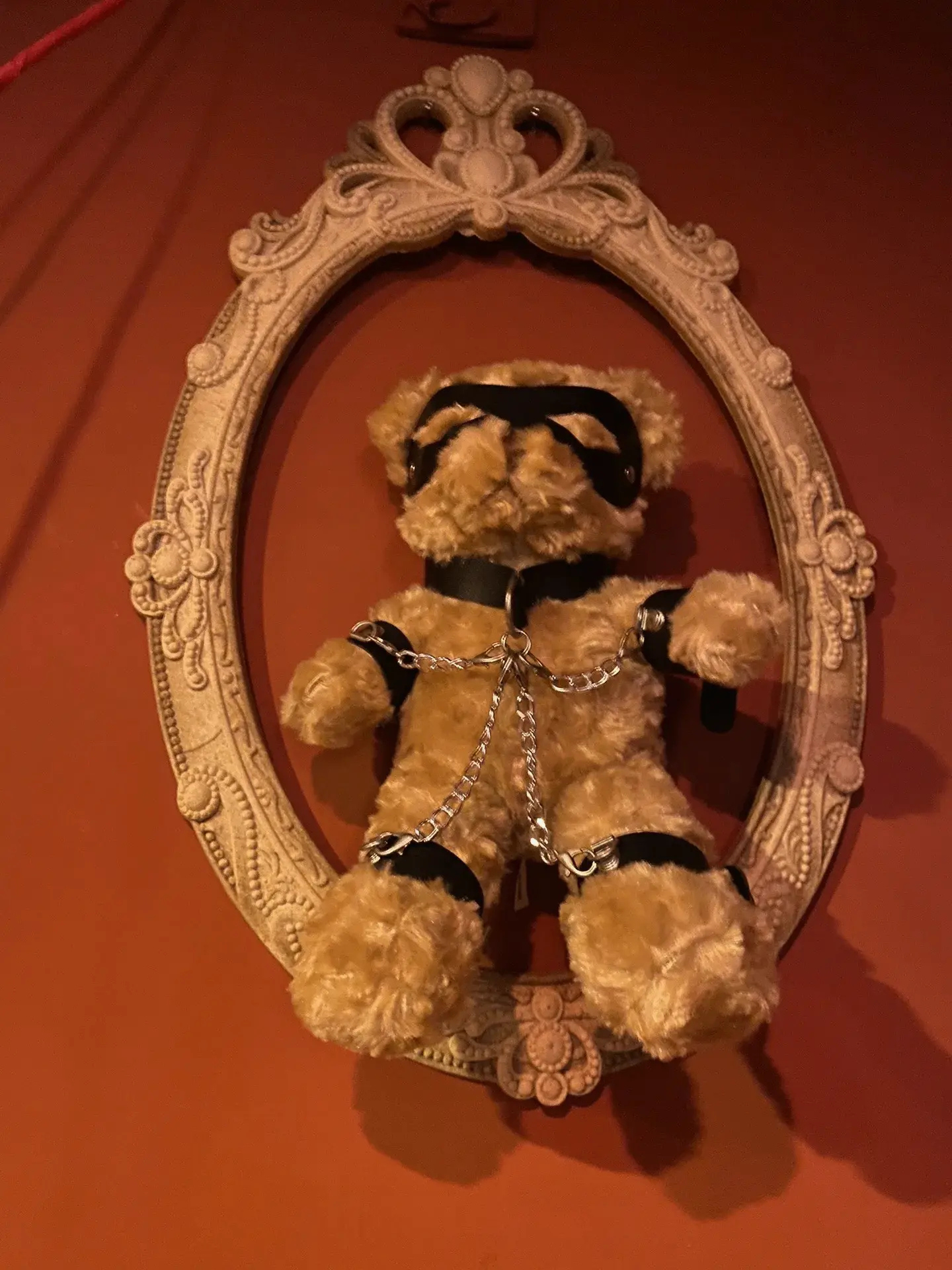 【西檬之家】字母圈新人必备术语大解析（2025年更新版）