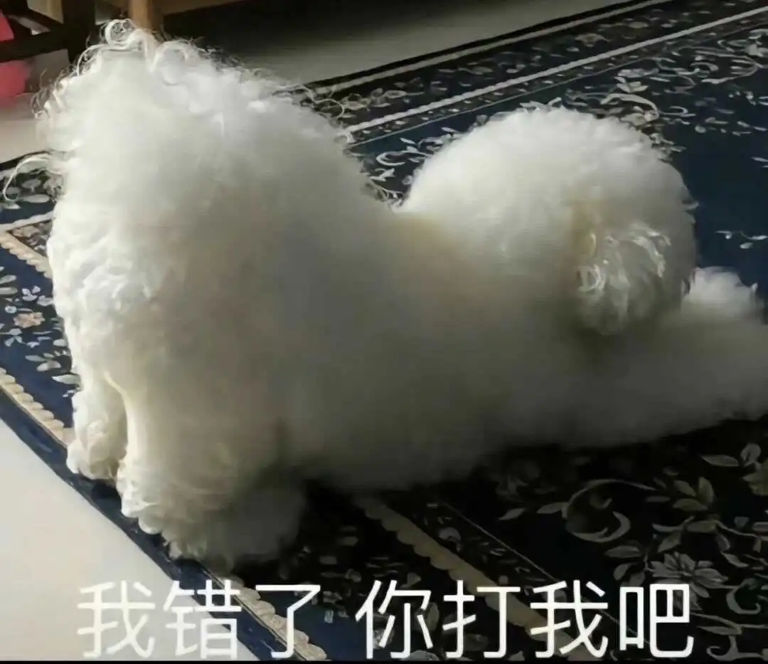 西檬之家-字母圈新人入圈指南：从SSC到DT的权威解析