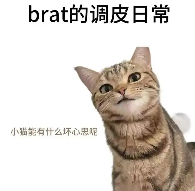 西檬之家-践踏癖是什么？字母圈新人入圈指南