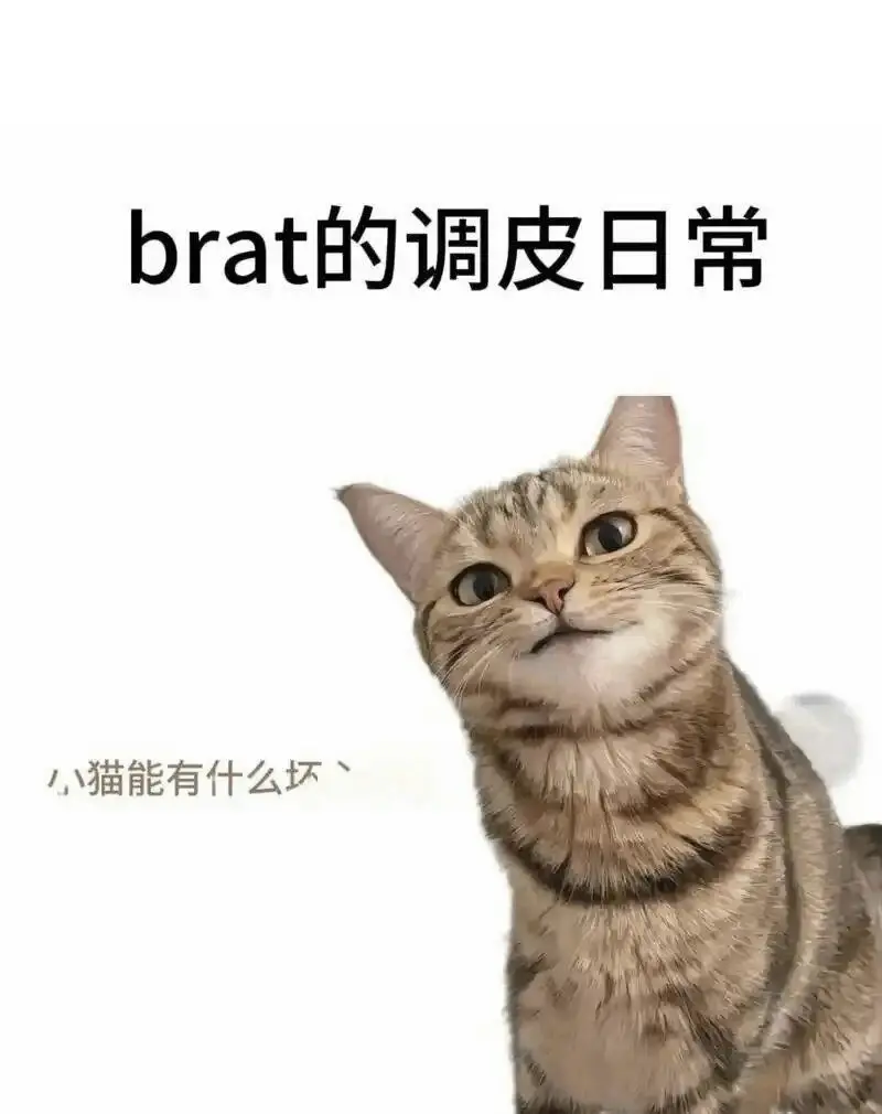 【西檬之家】Sub是什么？带你读懂字母圈臣服文化
