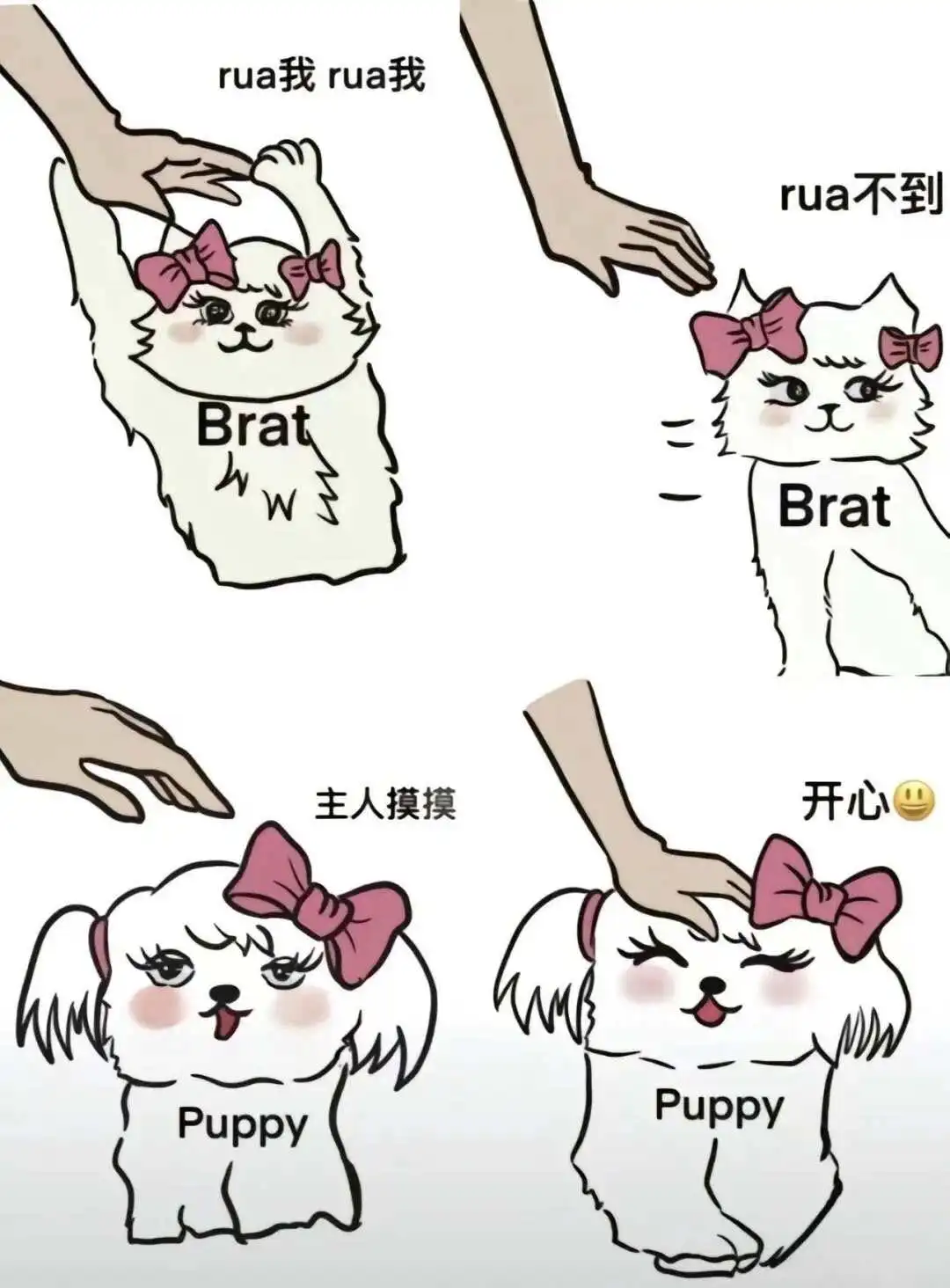 西檬之家-斯慕圈是什么？字母圈新人必备术语指南