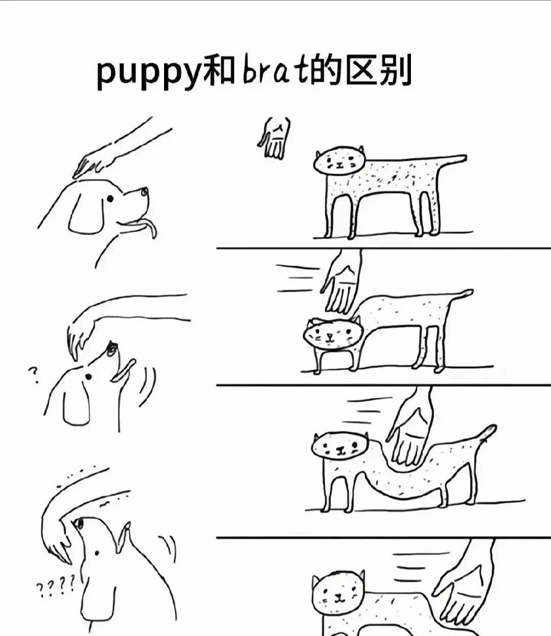 【西檬之家】BDSM是什么？字母圈新人入门权威指南