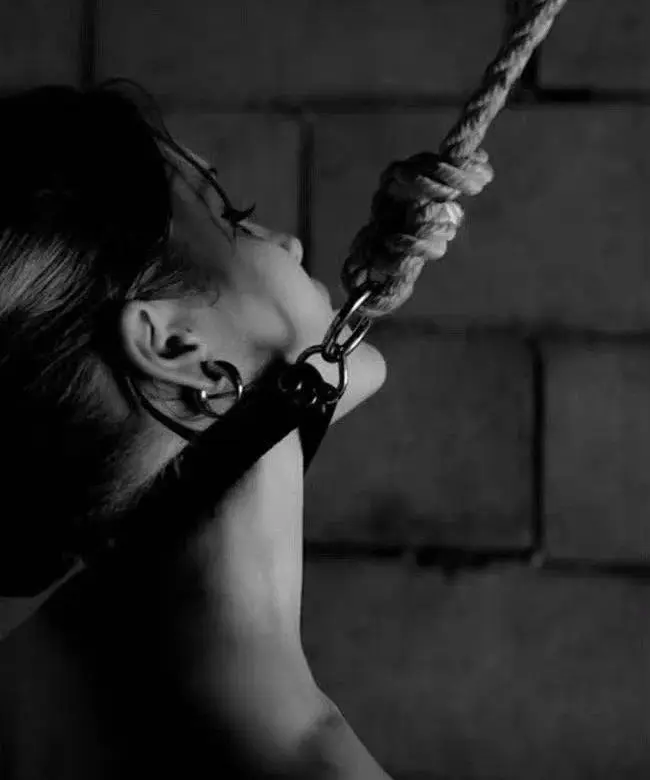 女王：实用指南